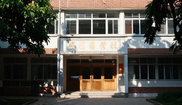 技术培训服务是否等同于安装调试服务?